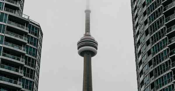 外国语单招大数据的行业文章