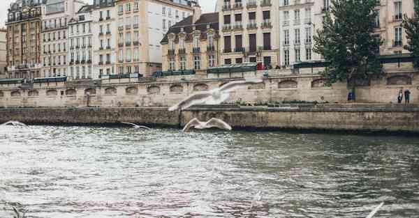 智能大数据新产业链（智能大数据新产业链有哪些）