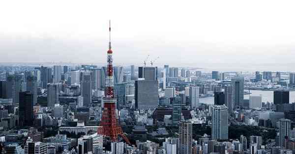 各省货运大数据