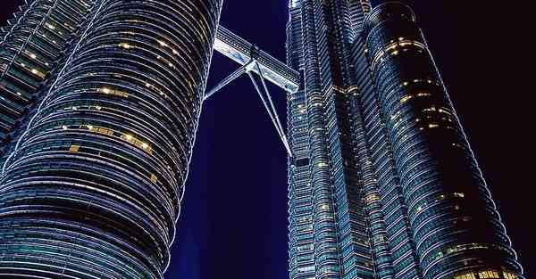 盖尔加朵AI技术种子