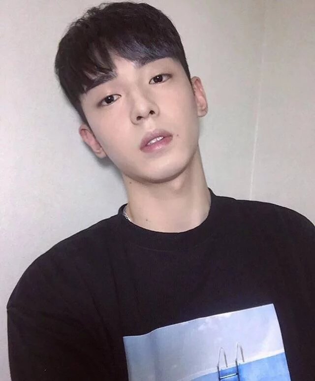 王元浩素