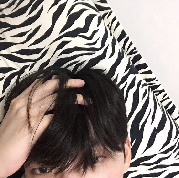 洪茗坚瑾