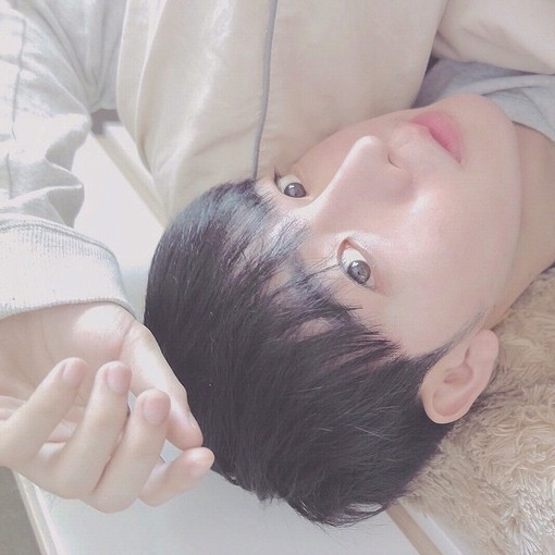莘琬冰晓