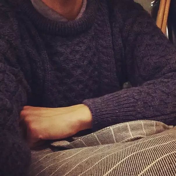 易龙秋眉
