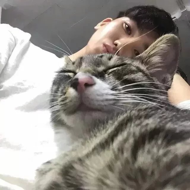 凌清子融
