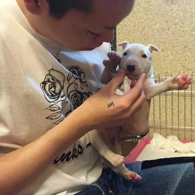 赫连婷玲聪