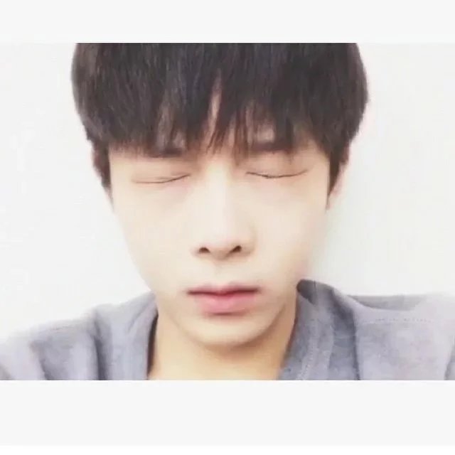 晏生盛凤